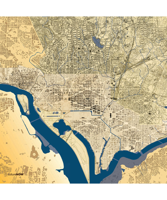 Historic Washington DC THEN Silk Scarf