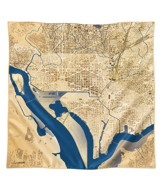 Historic Washington DC THEN Silk Scarf