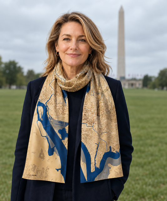 Historic Washington DC THEN Silk Scarf